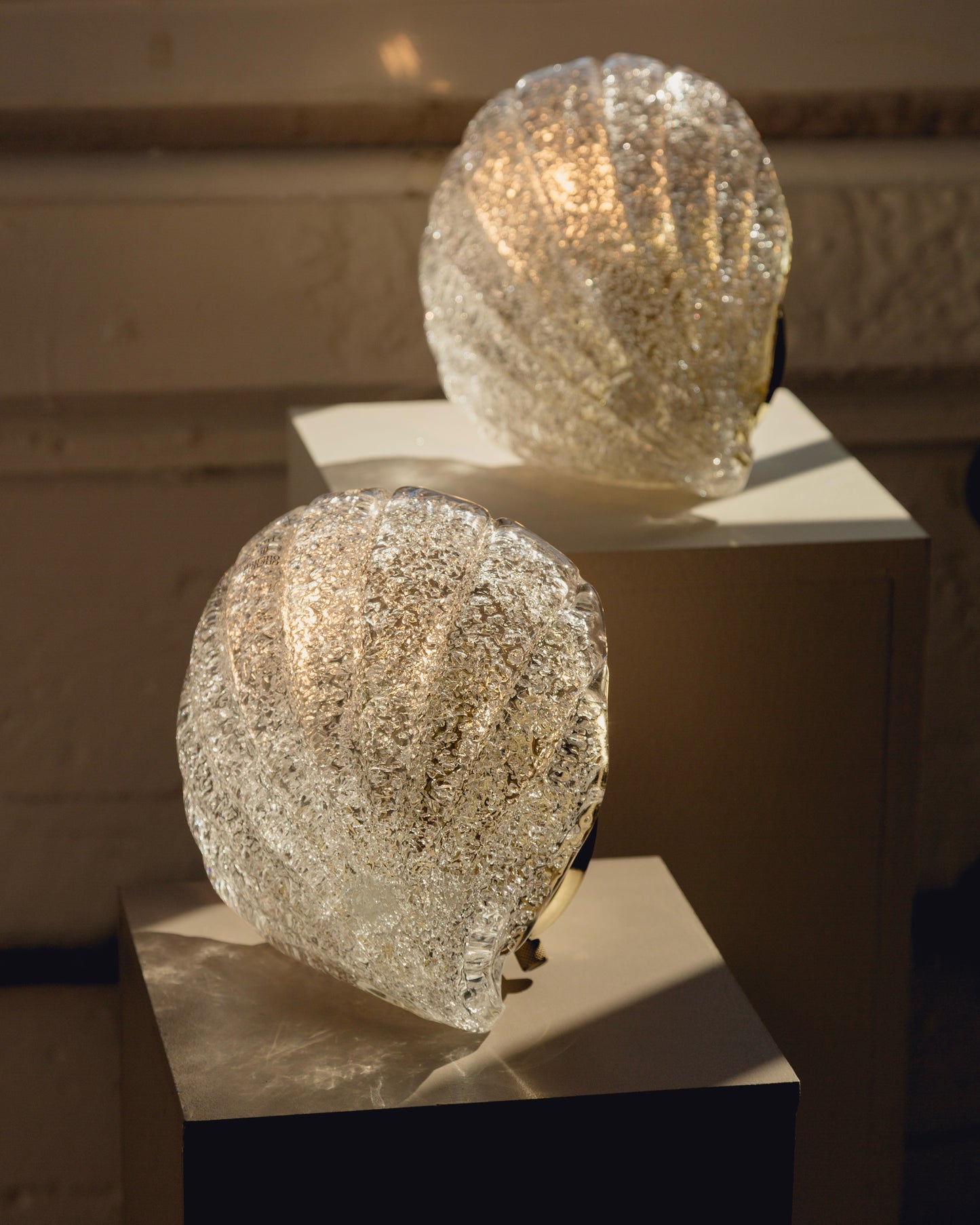 Pair of Barovier & Toso Shell Wall Lights