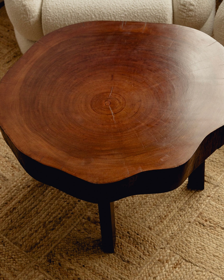 Organic Form Wooden Coffee Table