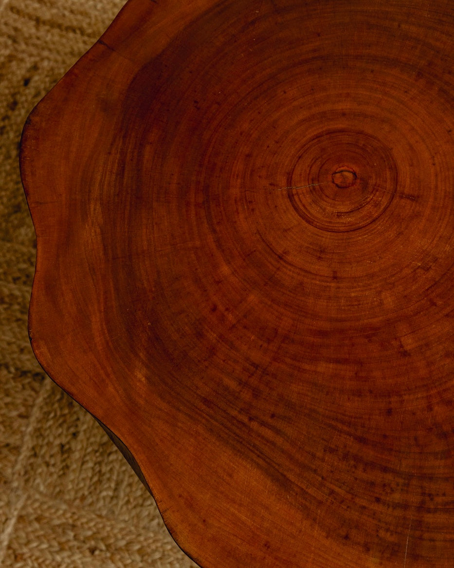 Organic Form Wooden Coffee Table