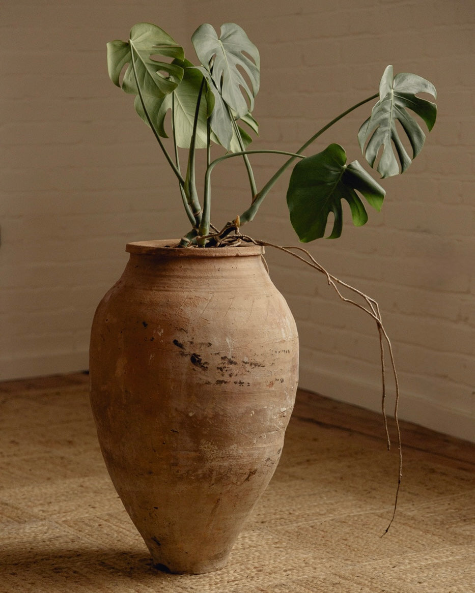 Terracotta Planter