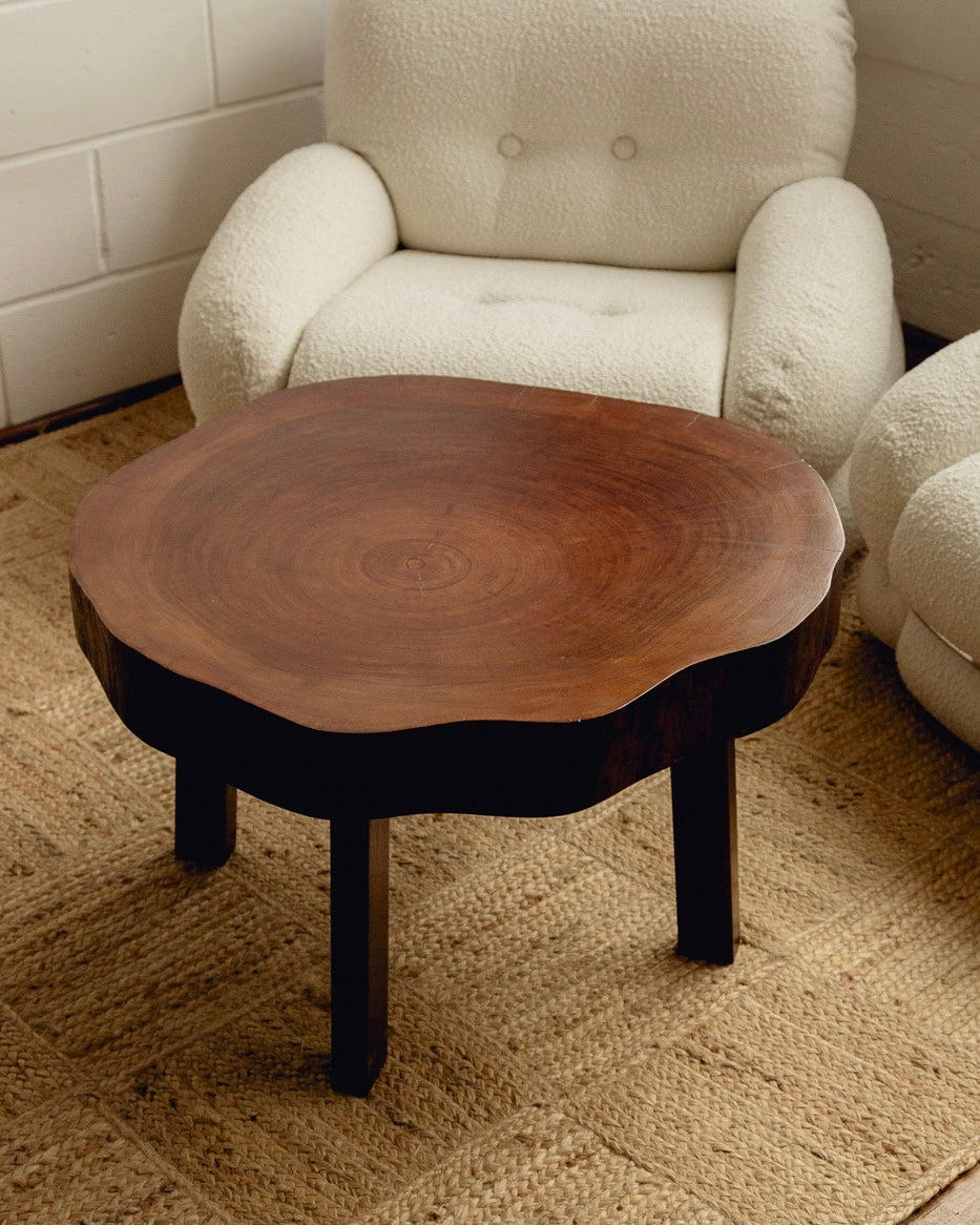 Organic Form Wooden Coffee Table