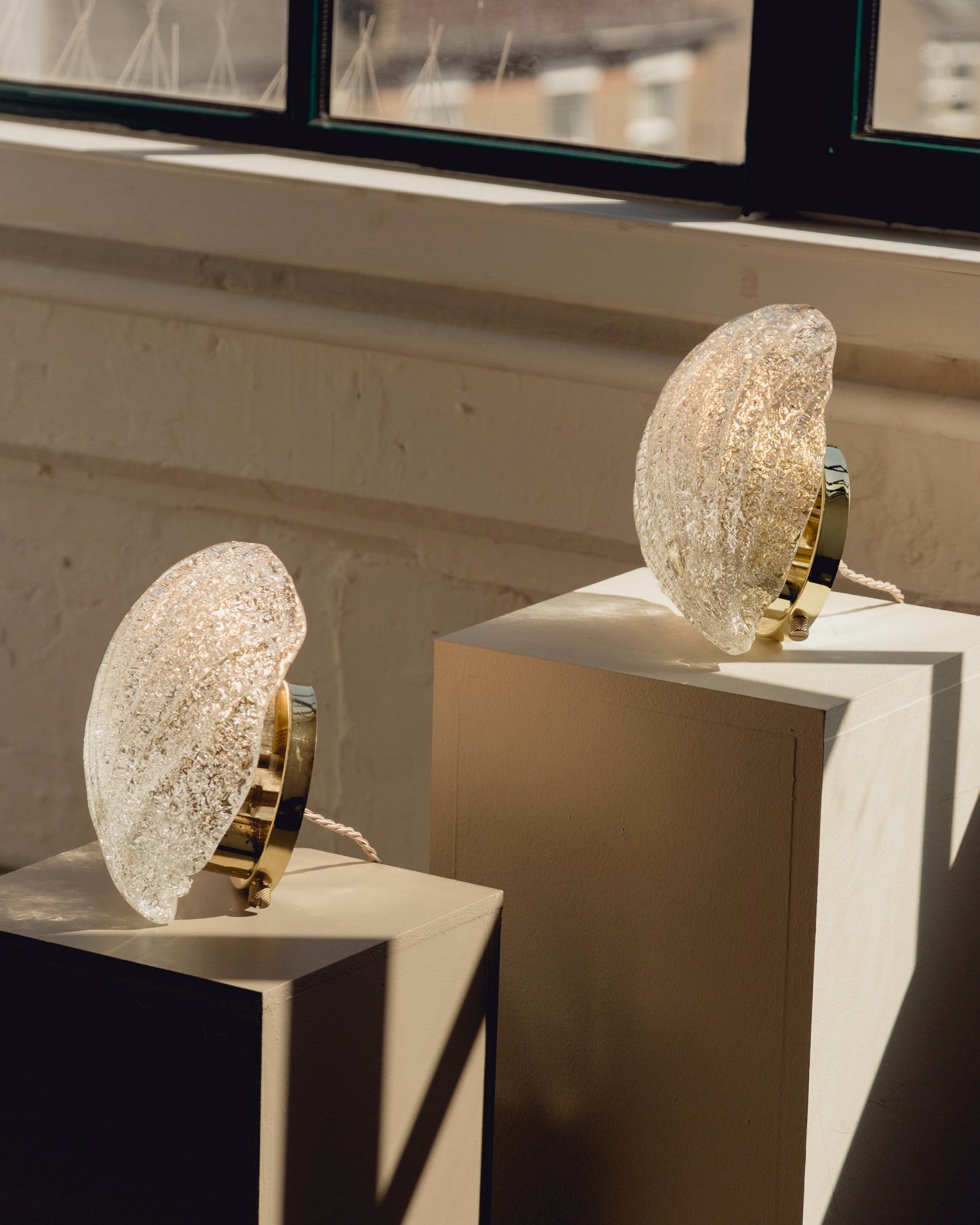Pair of Barovier & Toso Shell Wall Lights