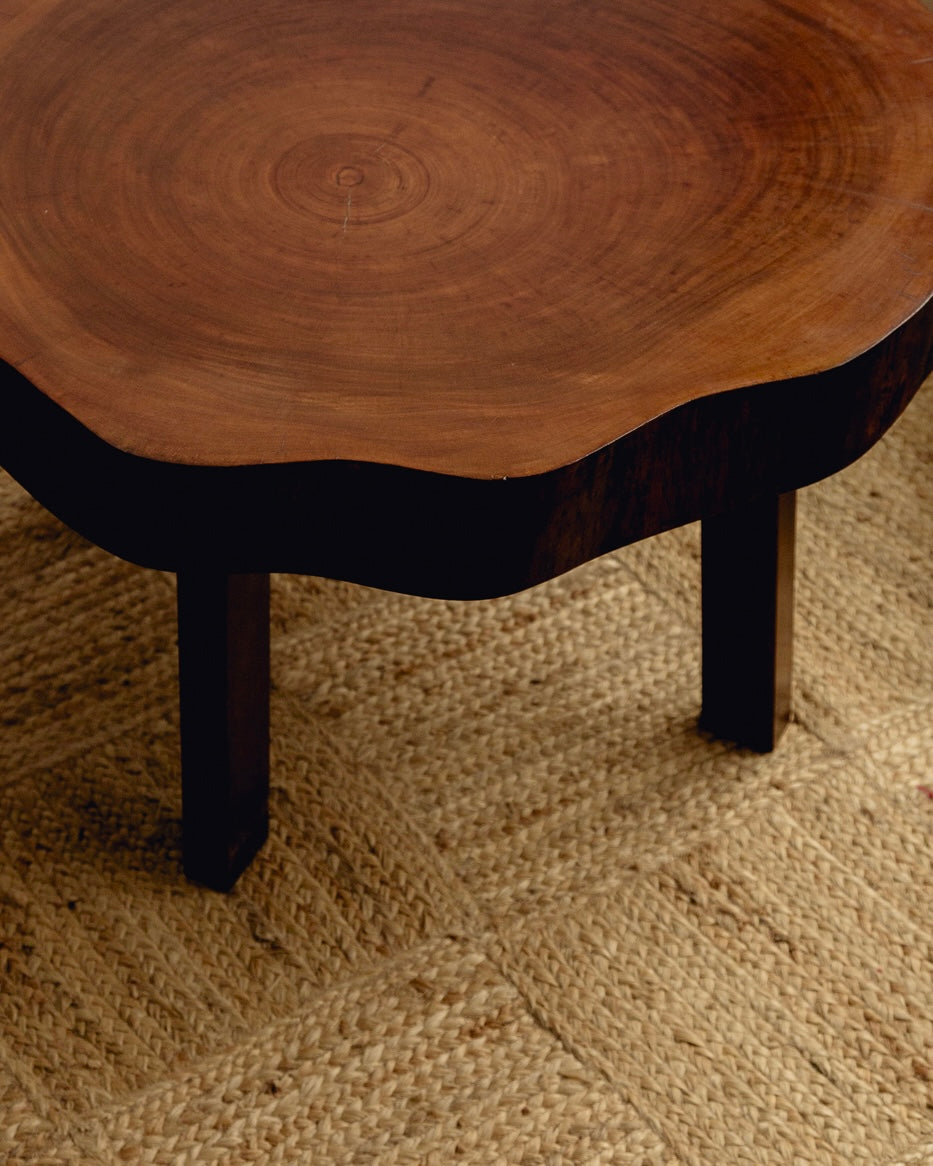 Organic Form Wooden Coffee Table