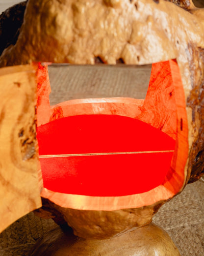 Burl Cocktail Cabinet