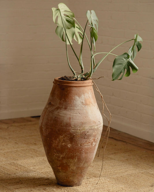 Terracotta Planter