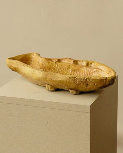 Fish Dish