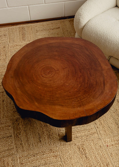 Organic Form Wooden Coffee Table