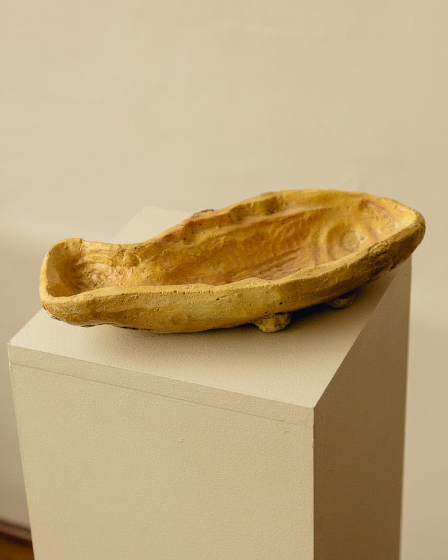 Fish Dish