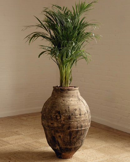 Large Terracotta Planter