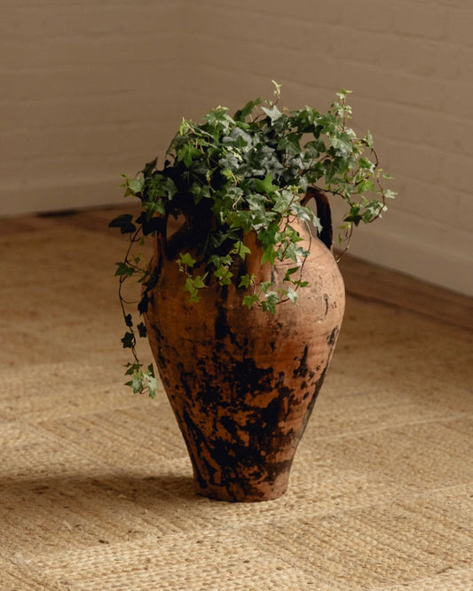 Terracotta Planter with Handles
