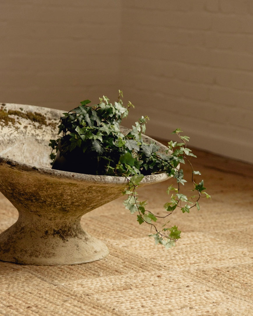 Willy Guhl Planter - Medium