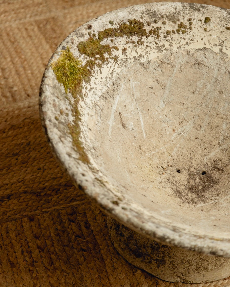 Willy Guhl Planter - Medium