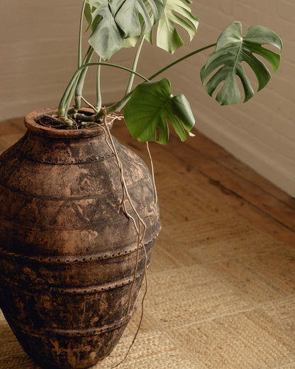 Large Terracotta Planter