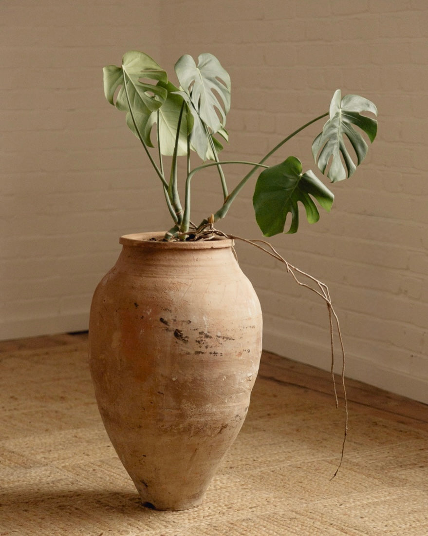 Terracotta Planter