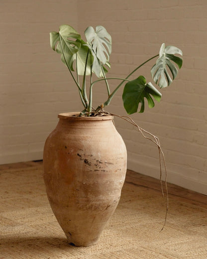 Terracotta Planter