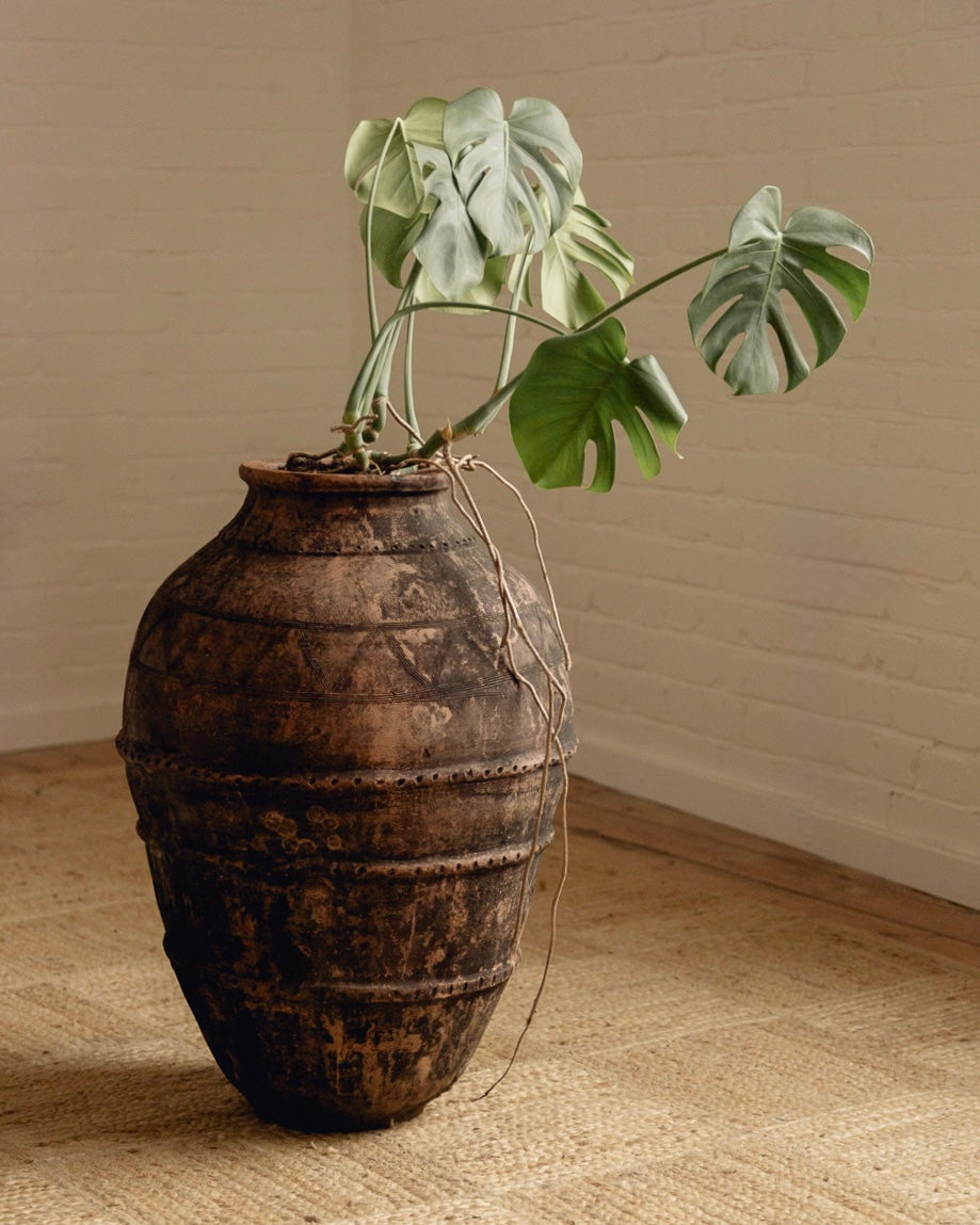 Large Terracotta Planter