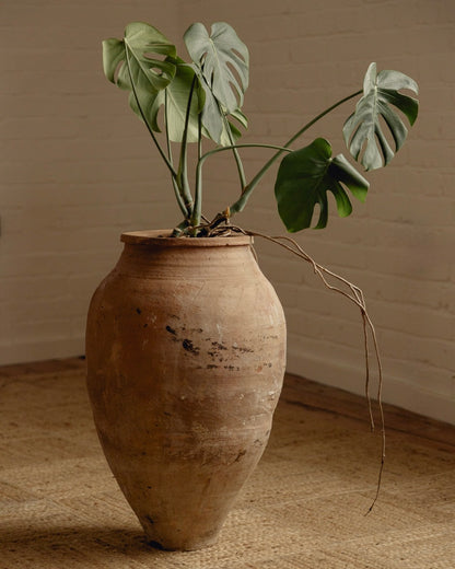 Terracotta Planter
