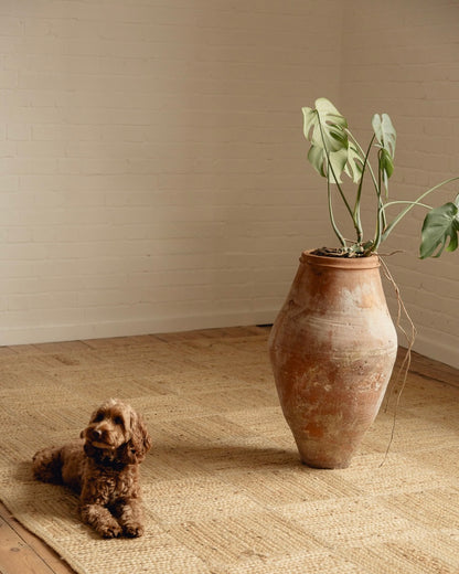 Terracotta Planter