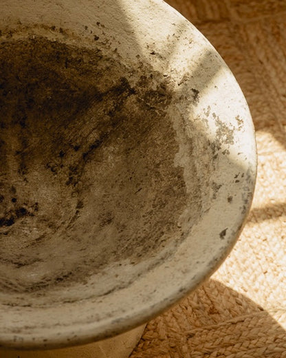 Willy Guhl Planters