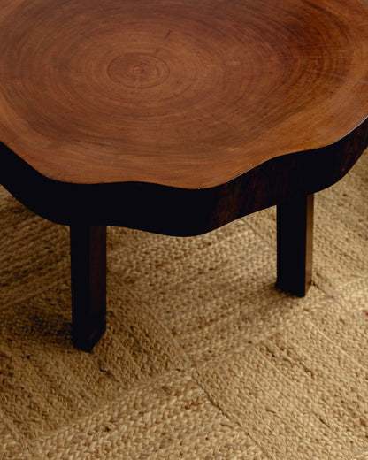 Organic Form Wooden Coffee Table